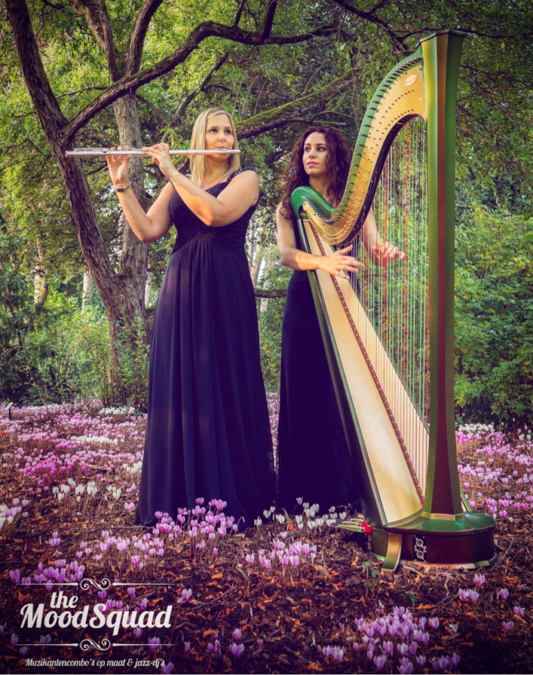 The MoodSquad Harp & fluit duo